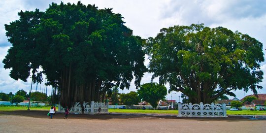 Kenakan tarif sepihak, 10 juru parkir divonis denda PN Kota Yogyakarta