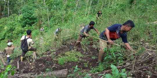 Menyulap ladang ganja jadi lahan tanam jagung dan padi