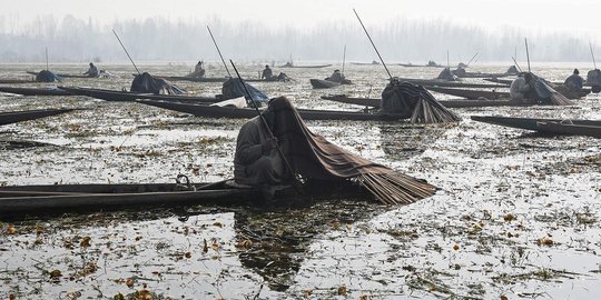 Cara unik nelayan India saat berburu ikan