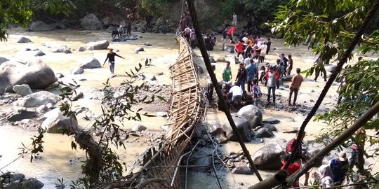 Jembatan di penangkaran rusa Cariu roboh, wisatawan jatuh ke sungai