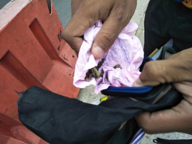 solihin ketahuan bawa ganja saat terobos busway