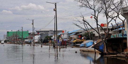 Imbas fenomena Supermoon, banjir rob rendam kawasan Muara Baru