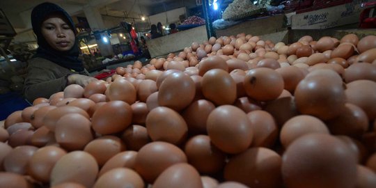 Harga telur ayam merangkak naik dari Rp 20.000 kini jadi Rp 26.000 per Kg