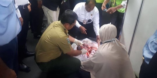 Jasad bayi di pesawat Etihad hasil aborsi seorang penumpang