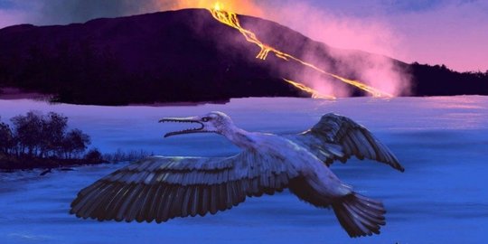 global dari burung tingmiatornis arctica
