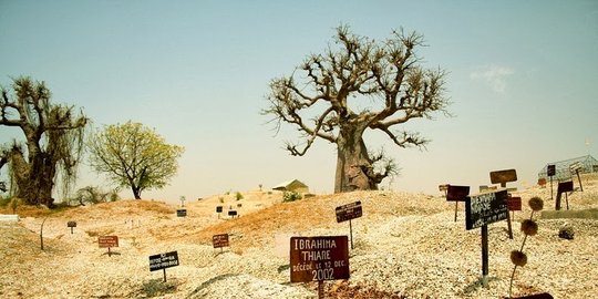 Tarik pengusaha RI, Senegal berikan pembebasan pajak 10 tahun di industri pariwisata