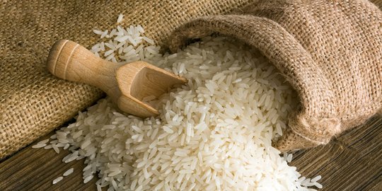 Kemendag sebut impor beras khusus untuk kepentingan pengusaha