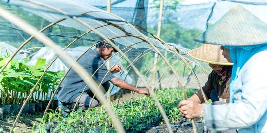 Buka keran impor beras 500.000 ton, pemerintah Jokowi dinilai gagal swasembada pangan