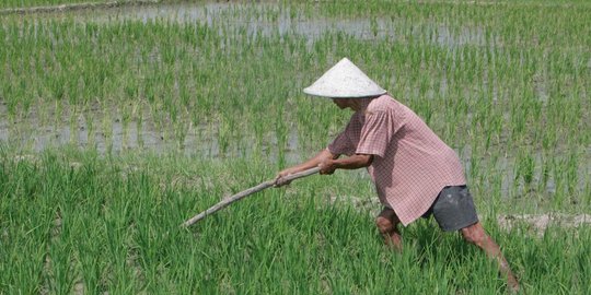 khusus tak akan mematikan petani