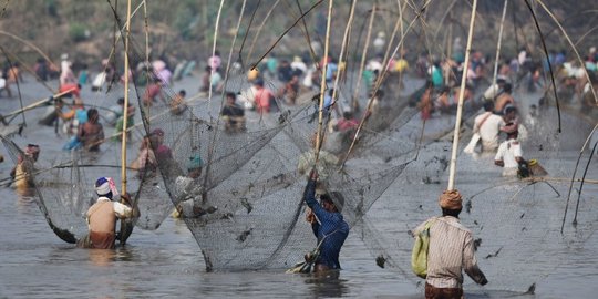 Panen ikan massal, warga India serbu danau