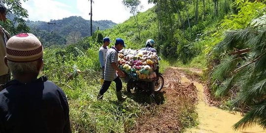 Jalan strategis provinsi di Palangkitangan masih buruk