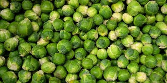 13 hal yang secara mengejutkan bisa membuatmu kecanduan hingga overdosis [part 2]