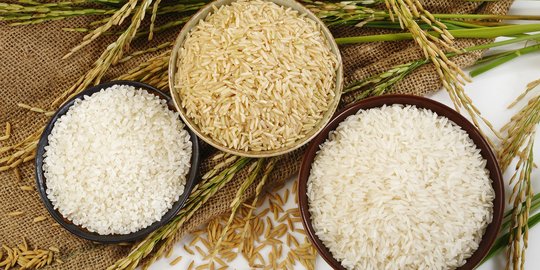 Wagub Sulut tegaskan daerahnya tak perlu impor beras