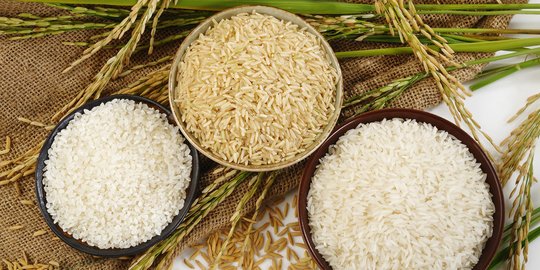 Harga naik sejak Kemendag patok harga beras di pasaran