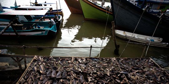 Pemerintah diminta bantu bebaskan 70 nelayan yang ditahan di Malaysia