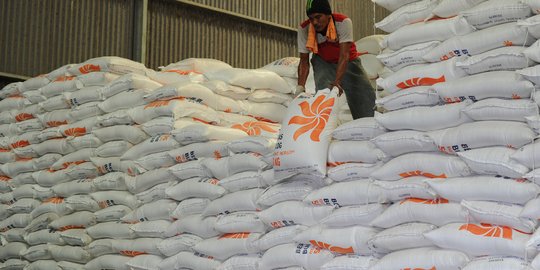 Kado awal 2018, pemerintah Jokowi impor beras hingga garam industri