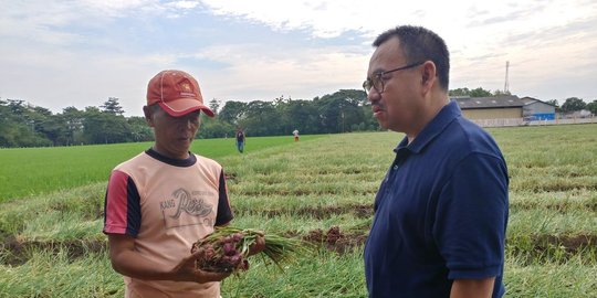 Sudirman Said sebut beras impor sebagai bencana ekonomi