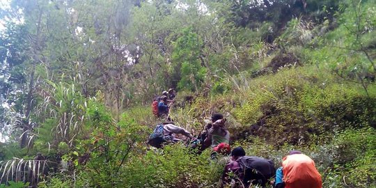 2 Mahasiswa Undip hilang di Hutan Linggoasri saat sedang penelitian