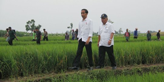 Tingkatkan kesejahteraan, petani diminta Presiden Jokowi jual beras