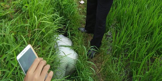 Mayat wanita ditemukan tergeletak di parit sawah di Buleleng