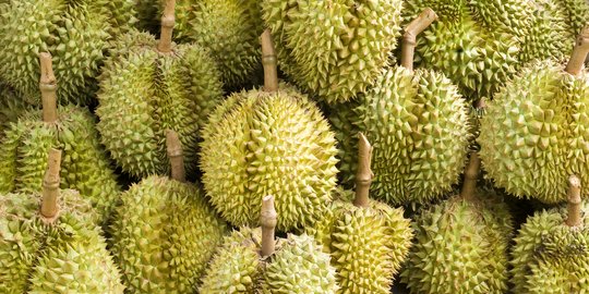 Warga Badui panen durian, kantongi uang hingga Rp 65 juta