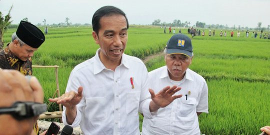 Demokrat dan PKB penentu di 2019, berlomba tawarkan pendamping Jokowi