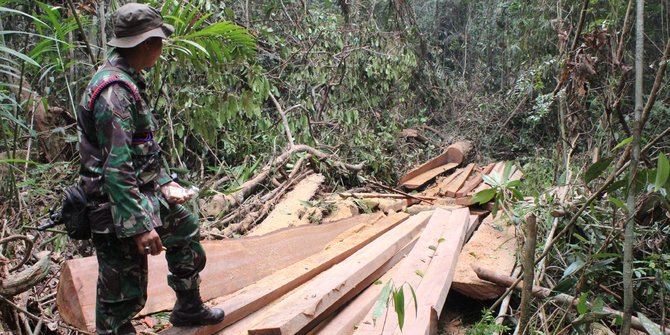 Gubernur Aceh cabut izin kilang kayu penampung illegal 