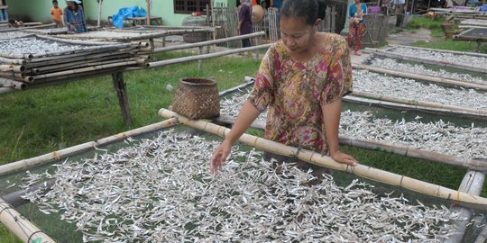 Di Kendari, harga ikan asin lebih mahal dibanding daging sapi