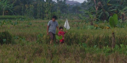 BPS catat nilai tukar petani turun jadi 102,92 di Januari 2018