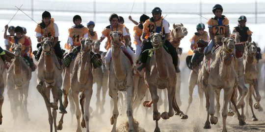 Saat unta kebut-kebutan di Festival Warisan Sultan Bin Zayed