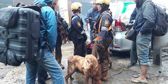 Cari korban longsor di Puncak, polisi dibantu anjing pelacak