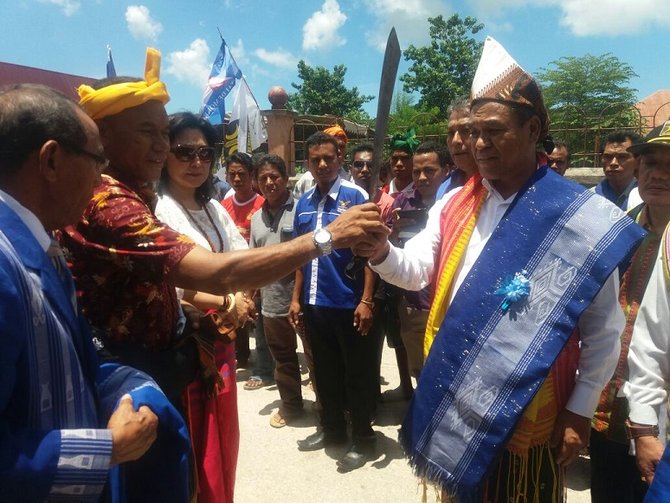 benny k harman lakukan ritual potong kerbau