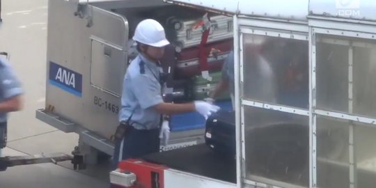 Video petugas bagasi pesawat Jepang viral lantaran lakukan ini
