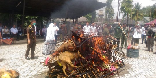 Puluhan satwa langka diawetkan dibakar di Sumsel