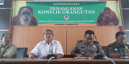 'Penyelidikan kematian orangutan yang ditembus 130 peluru pertaruhkan nama negara'