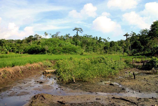 kampung di ujung barat pulau penjara