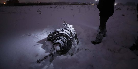 Ini puing pesawat Saratov Airlines yang jatuh dan terbakar di Moskow