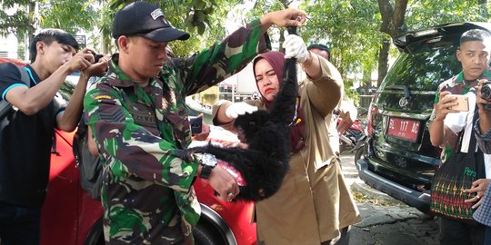 Dandim 0101/BS serahkan 4 satwa dilindungi ke BKSDA Aceh