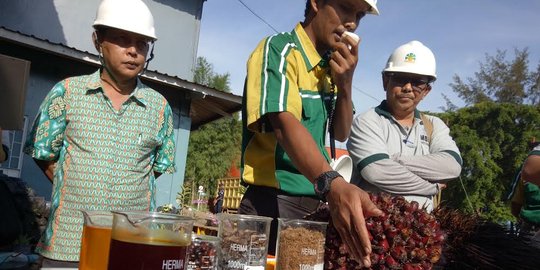 Italia dukung minyak sawit RI masuk Eropa, ini keistimewaan CPO Indonesia