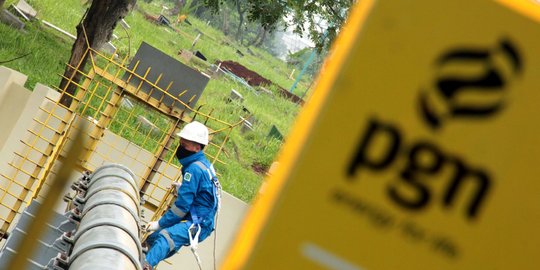 Panja Migas DPR dukung PGN kelola infrastruktur gas bumi nasional