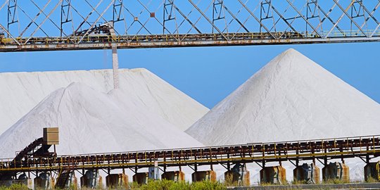 Menko Darmin segera lapor ke Presiden Jokowi percepat impor garam industri
