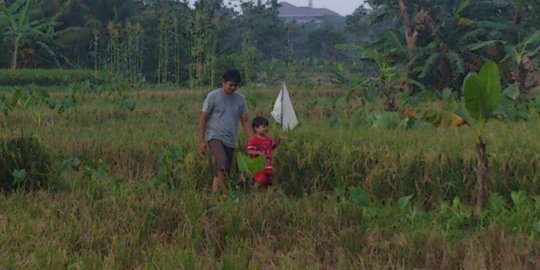 Upah rendah, buruh tani banyak beralih jadi buruh bangunan