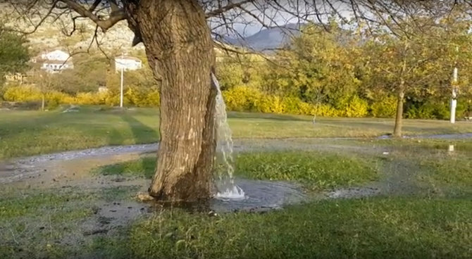 fenomena air terjun pohon di montenegro