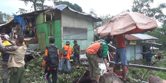 Diterjang angin, 2 pohon di wisata air panas Pacet roboh timpa kios pedagang & mobil