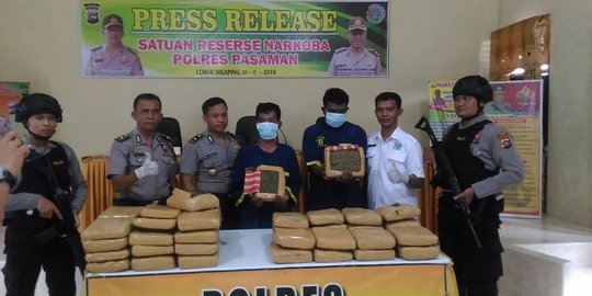 47 Kilogram ganja siap edar disita polisi di Pasaman