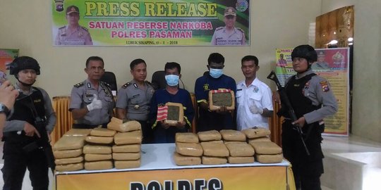 47 Kg ganja di Pasaman ternyata untuk diedarkan di Bukittinggi