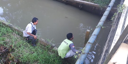 Kemunculan tiga buaya di Sungai Karang Mumus Samarinda bikin resah warga