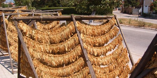 Cukai tembakau alternatif sebesar 57 persen dinilai memberatkan