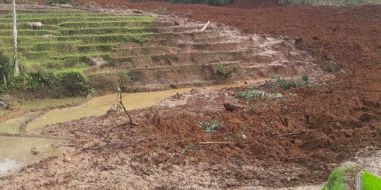 Longsor di Gunung Lio Brebes telan puluhan korban