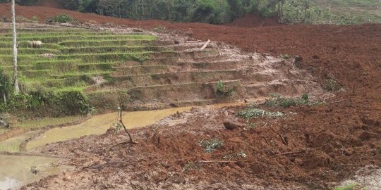 5 Orang tewas tertimbun longsor di Brebes